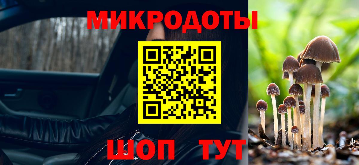Волоколамск  Галлюциногенные грибы ЛСД  Вход с VPN 