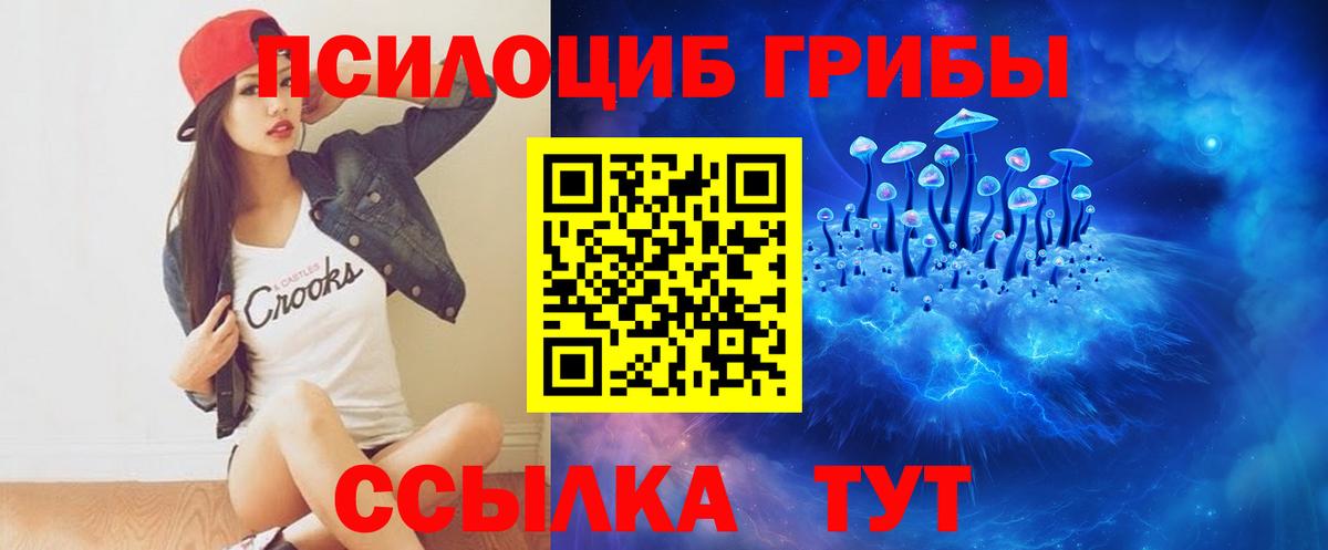 Псилоцибиновые грибы Psilocybe Волоколамск